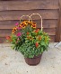 Awesome Combo Fall Planter 