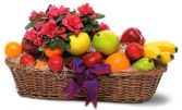 Azaela Plant and Fruit Basket Gift Basket