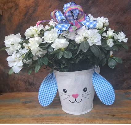 AZALEA PLANT IN BUNNY POT COVER