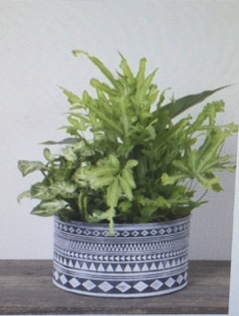 AZTEC METAL PLANTER Dishgarden