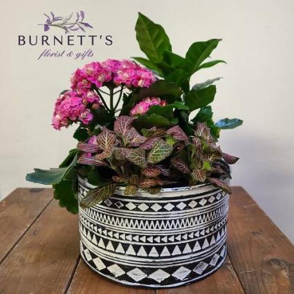 Aztec Planter Planter