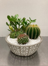 Aztek Garden Succulent Planter