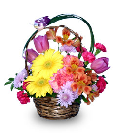 SPRING ARRIVAL Flower Basket