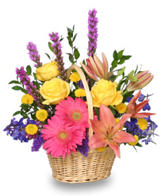 Flower Gallery Local Calgary Florist Flower Shop Online Delivery