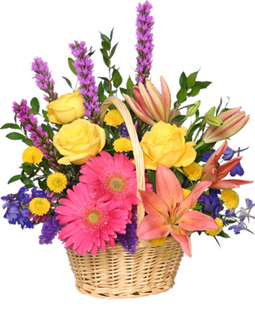 HAVE A SUNNY DAY! Flower Basket in Spokane, WA | FOUR SEASONS PLANT & FLOWER SHOP
