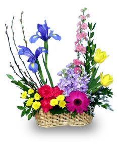 COLORFUL BORDER Flower Basket
