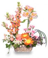 INSPIRATION BLOOMS in Springtime