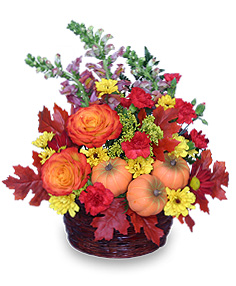 PUMPKIN PLEASURES Basket of Flowers