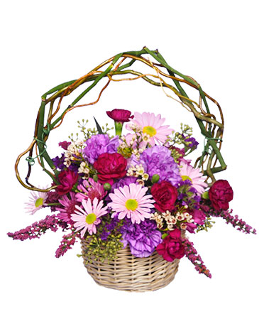 Lovable Lavender Basket in Bluffton, IN | COUNTRY SQUIRE FLORIST INC.