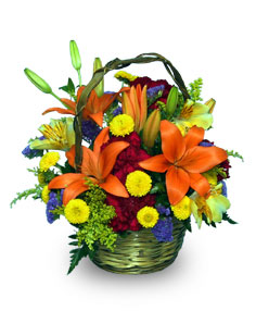 COLORFUL COLLECTION of Flowers for Fall
