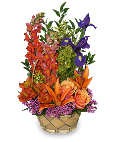 Multi-Color Memories Flower Arrangement in Bowerston, OH | LADY OF THE LAKE FLORAL & GIFTS Multi-Color Memories Flower Arrangement in Bowerston, OH | LADY OF THE LAKE FLORAL & GIFTS