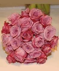 Purely Pink Roses Nosegay Bridal Wedding Bouquet