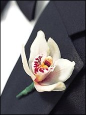 Orchid Boutonniere Wedding Party Flowers