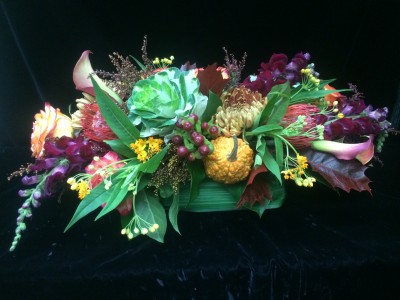 Cornucopia