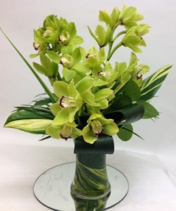 Orchids For You! Arrangement
