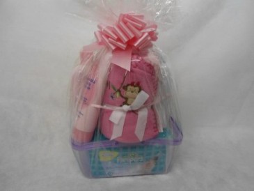 Baby Basket New Baby Gift
