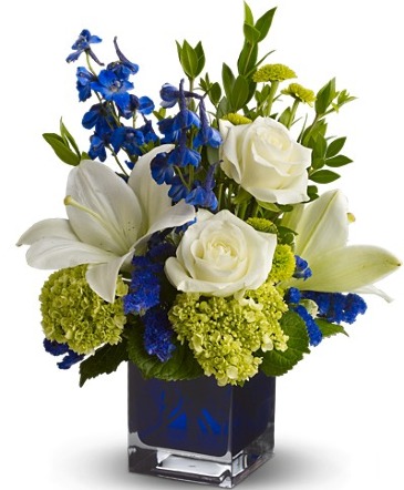 Baby Blue  in Arlington, TX | Wilsons In Bloom Florist