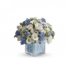 Baby Boy in Kitchener, ON | KITCHENER ONTARIO FLORIST Baby Boy in Kitchener, ON | KITCHENER ONTARIO FLORIST