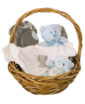 Baby Boy Basket basket