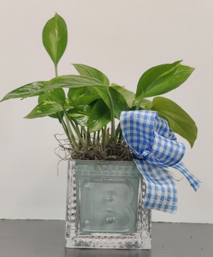 Baby boy block planter 
