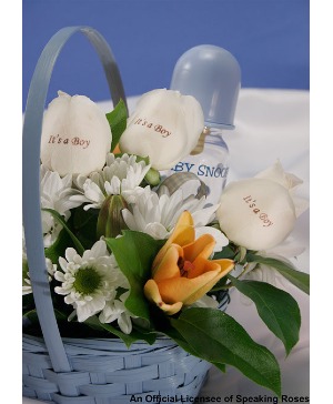 BABY BOY BOUQUET 