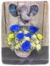 BABY BOY BUNDLE Specialty Arrangement