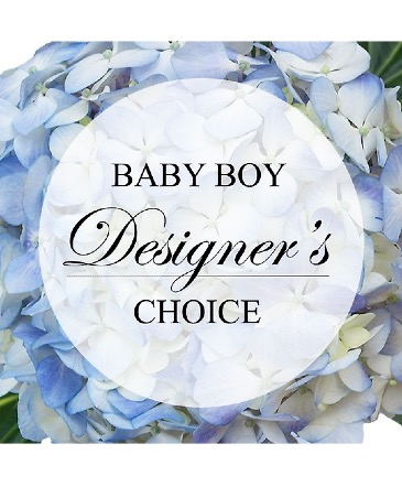 Baby Boy Designers Choice in Chehalis, WA | BENNY'S FLORIST & GREENHOUSE