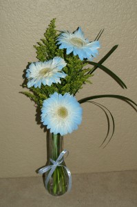 Baby Boy Gerbs 3 Gerbera Daisy Bud Vase
