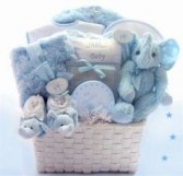 Baby Boy Gift Basket Gift Basket for Newborn