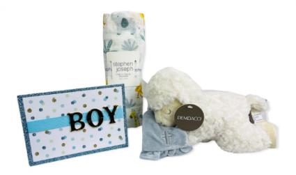 Baby Boy Gift Bundle 