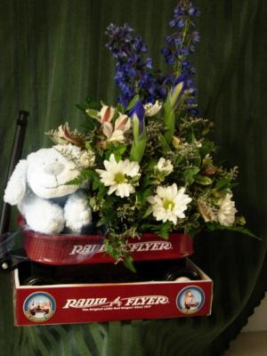 Baby Boy Radio Flyer Baby in Duvall, WA | FLOWERS BY SCHATZI (DUVALL FLOWERS & GIFTS) Baby Boy Radio Flyer Baby in Duvall, WA | FLOWERS BY SCHATZI (DUVALL FLOWERS & GIFTS)