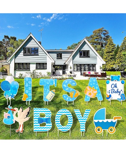 Baby Boy rental sign  