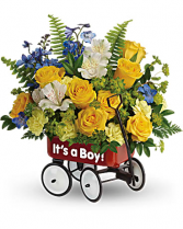 Baby Boy Wagon 