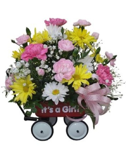 Baby Girl's New Wagon FHF-BW-1 Fresh Vase Arrangement (local delivery only)