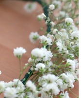 Baby breath flower crown  