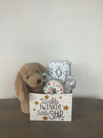 Baby Bundler Gift Basket