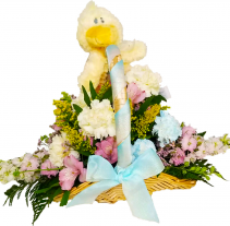 Baby Duckie Basket Baby, Funeral Arrangement