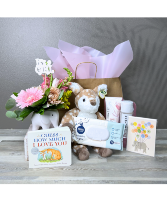 Baby Girl - Full Gift Set