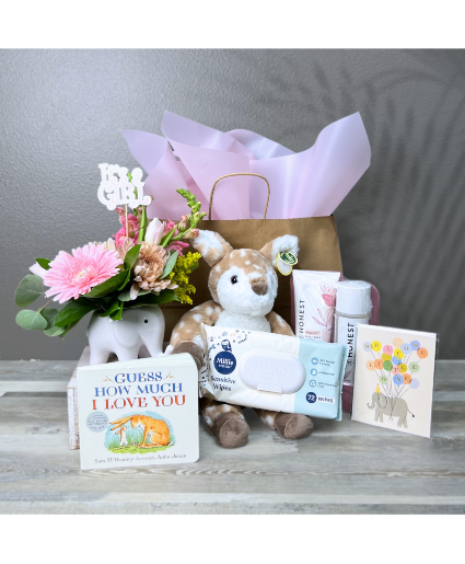 Baby Girl - Full Gift Set