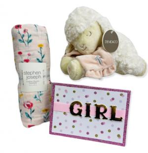 Baby Girl Gift Bundle 