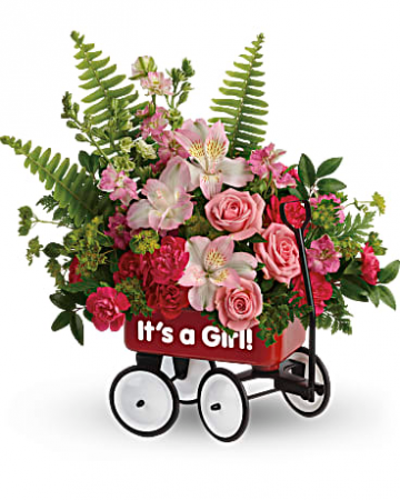 Baby Girl Wagon Iron Wagon