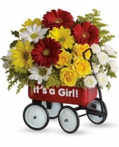 Baby Girl's Wow Wagon Flower Arrangement