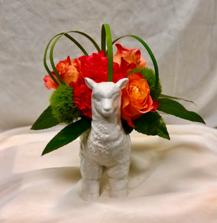 Baby Llama Drama Fresh Floral Design