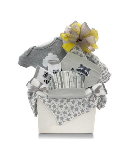 Baby Love Gift Basket  Gift Basket