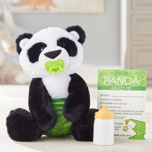 BABY PANDA in Fort Lauderdale, FL | ENCHANTMENT FLORIST BABY PANDA in Fort Lauderdale, FL | ENCHANTMENT FLORIST