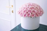 Baby Pink Roses  