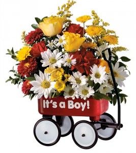 Baby Wagon Baby in Dover, NH | SWEET MEADOWS FLOWER SHOP Baby Wagon Baby in Dover, NH | SWEET MEADOWS FLOWER SHOP