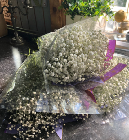 BABYS BREATH /