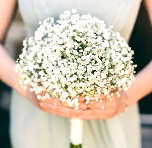 Baby's Breath Bouquet 