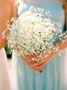Wedding* Baby's Breath  Blossoms Bouquets in Fort Worth, TX | DAVIS FLORAL DESIGNS